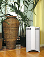 Living Room with Air Purifier
